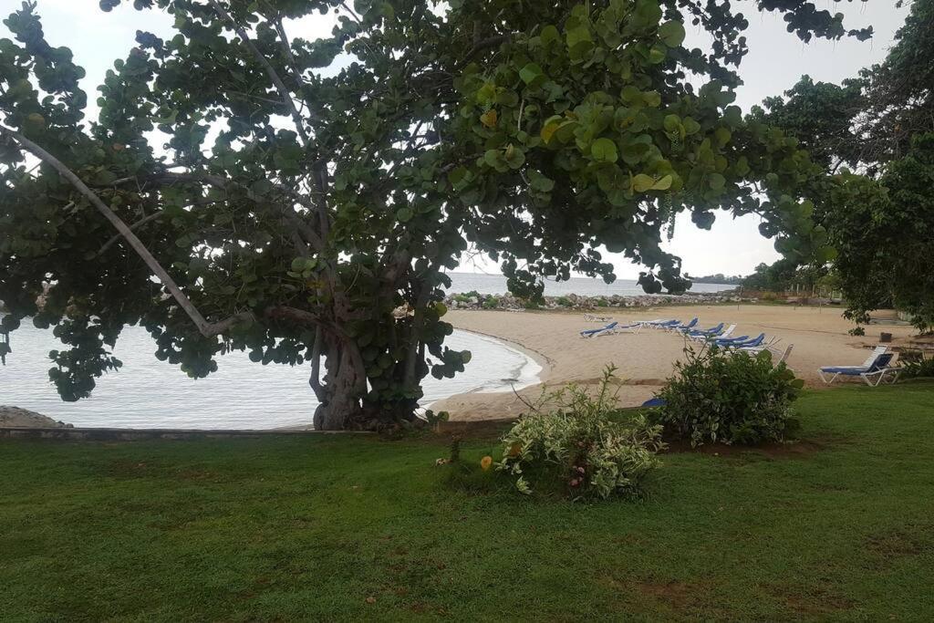 Negril Condo By The Beach Apt. 194 Point Village Extérieur photo